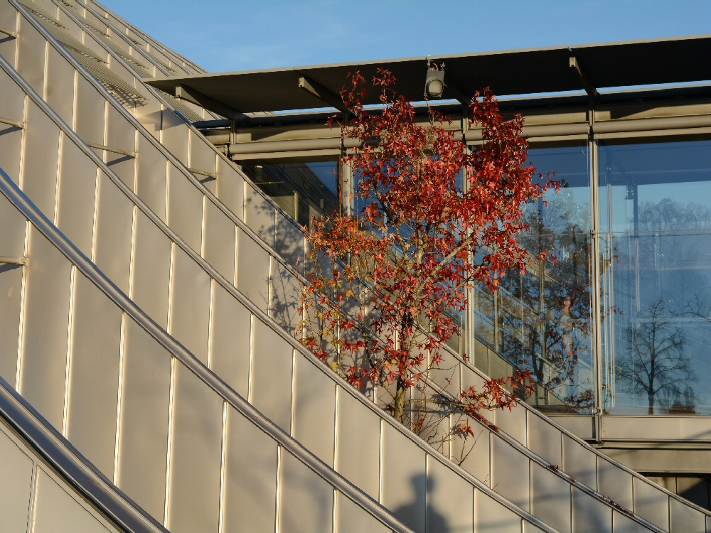 Paul Klee Zentrum - Berna